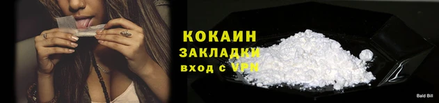 гашик Арсеньев