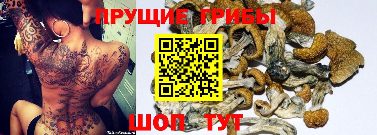 Галлюциногенные грибы мухоморы  Галлюциногенные грибы прущие грибы  Новороссийск  Вход с VPN 