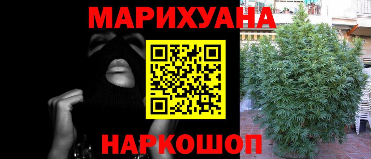 Бошки Шишки THC 21%  Вход с VPN  Новороссийск  Каннабис AK-47  Каннабис план 